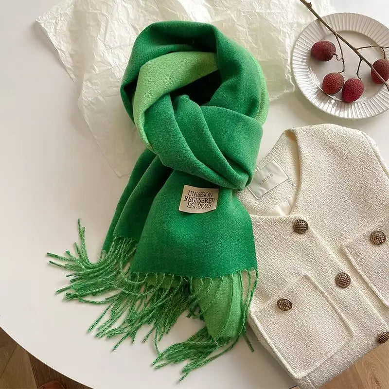 Fashion Solid Cashmere Warm Scarf New Design Pashmina Winter Double Side Diffrent Color Shawl Wraps Bufanda with Tassel Blanket